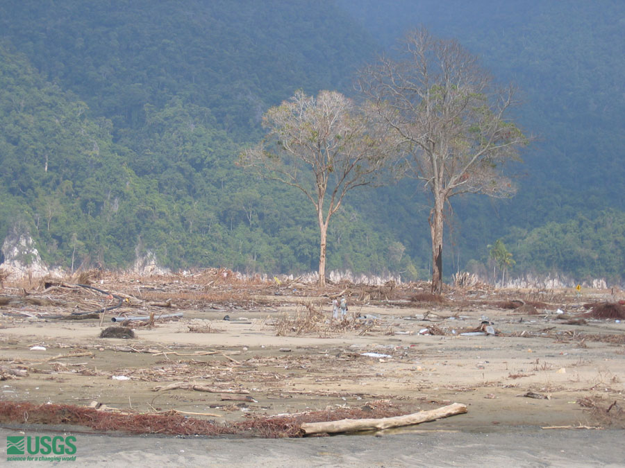 Photo in Sumatra, see caption above