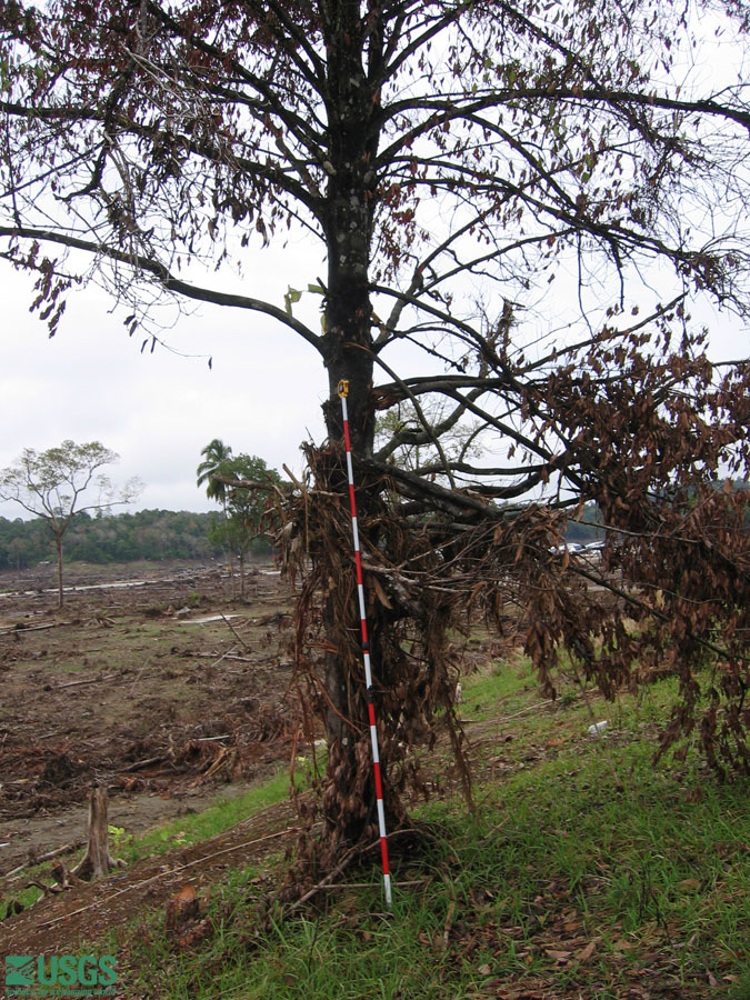 Photo in Krueng Sabe, see caption above