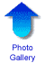 back to photo gallery