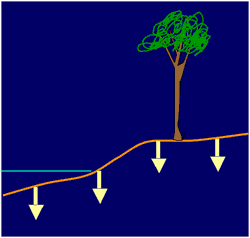 figure demonstrating coastal subsidence after earthquake