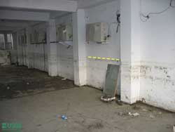 photo, see caption below