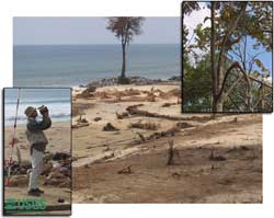 photo, see caption below