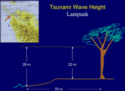 sketch of tsunami wave ehight and run-up measurements at Lampuuk